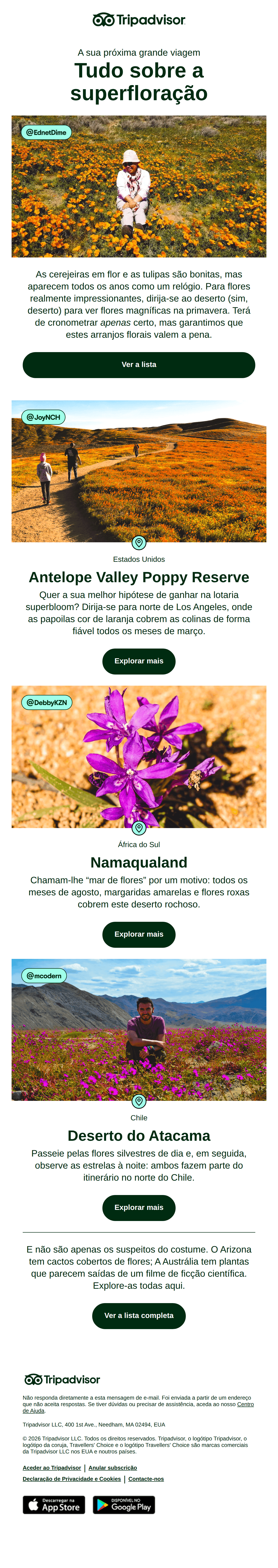 Tripadvisor: 6 locais para ver flores da primavera 🌼