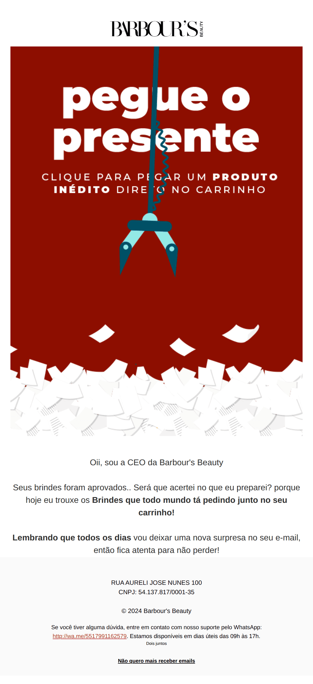 Barbours Beauty: ⚠️ (1) atualização pendente